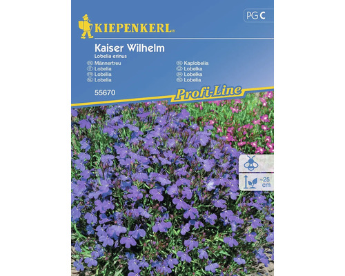 Lobelka modrá Kaiser Wilhelm Kiepenkerl