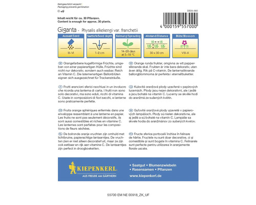 Balenie semien machovky Giganta