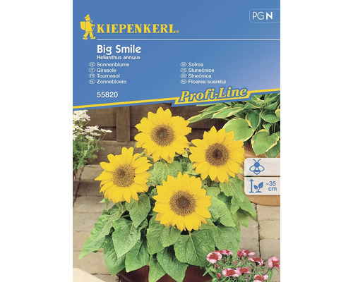Slnečnica Big Smile Kiepenkerl
