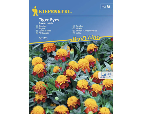 Aksamietnica veľkokvetá Tiger Eyes Kiepenkerl