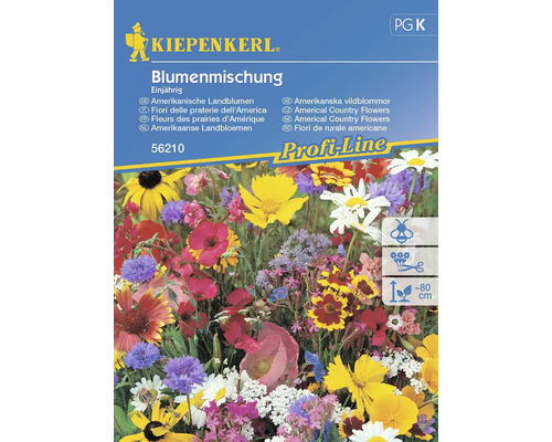 Kvetinová zmes Americké poľné kvety Kiepenkerl