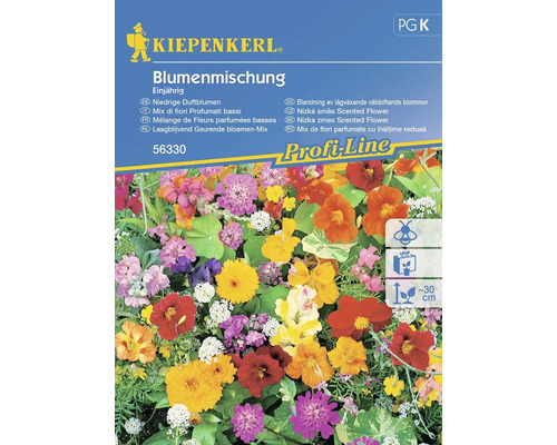 Kvetinová zmes nízka vonná Kiepenkerl