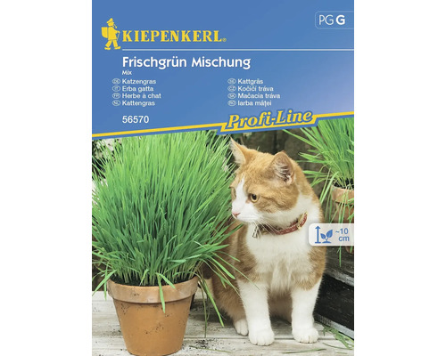 Mačacia tráva mix Kiepenkerl