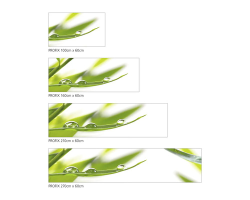 Dekoračné fólie s motívom rastlín a kvapkami vody v rôznych veľkostiach