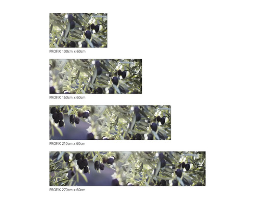 Kuchynská zástena Profix v rôznych veľkostiach s motívom olív