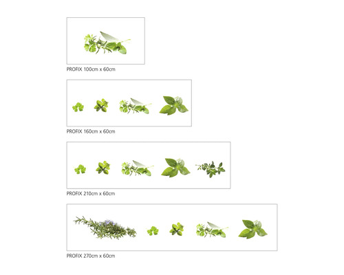 Zástena Profix s motívom byliniek v rôznych veľkostiach