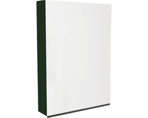 Zrkadlová skrinka bez osvetlenia Devo Viva 2.0 pravá 60 x 15 x 85 cm conifer green Biela kúpeľňová skrinka