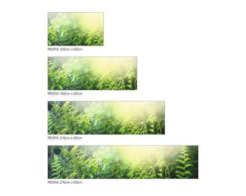 Dekoračná fólia Profix s motívom paprade v rôznych veľkostiach