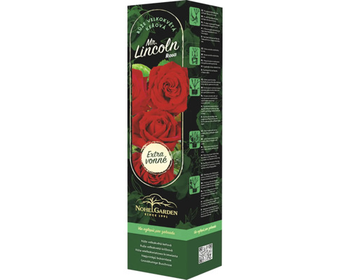 Ruža kríková veľkokvetá Fragrant Mister Lincoln
