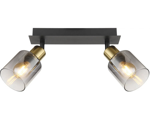 Stropné svietidlo s dvoma bodovými svetlami zo skla a kovu