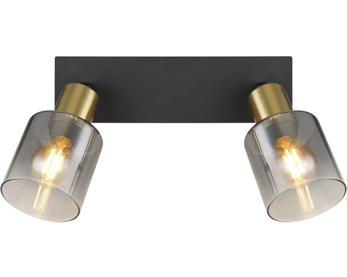 Stropné svietidlo s dvoma bodovými svetlami zo skla a kovu