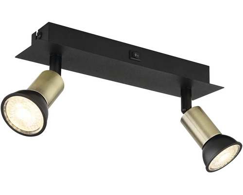 Stropné svietidlo s dvoma reflektormi