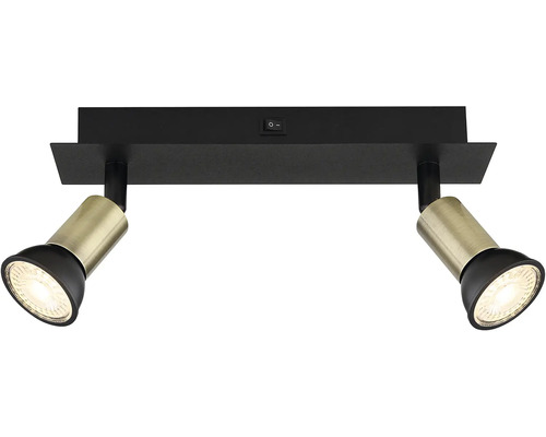 Stropné svietidlo s dvoma reflektormi