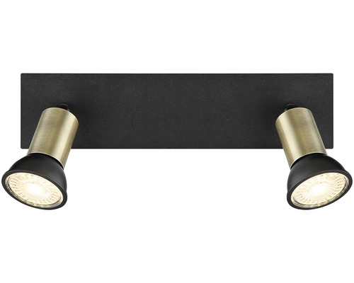 Stropné svietidlo s dvoma reflektormi