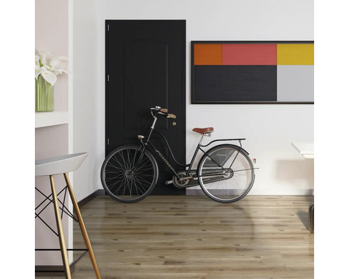 Interiér s drevenou podlahou, bicyklom a čiernymi dverami