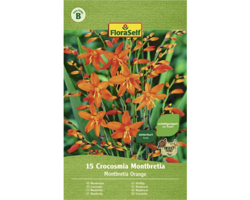 Montbrécia - Crocosmia oranžová Floraself 15 ks