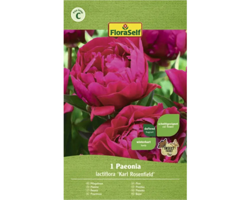 Pivonka FloraSelf Paeonia lactiflora „Karl Rosenfeld“ 1 ks