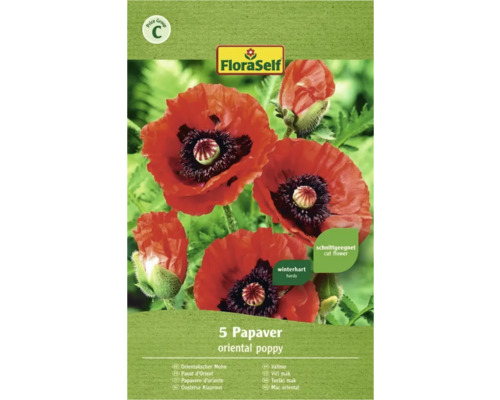 Mak orientálny FloraSelf Papaver oriental poppy 5 ks