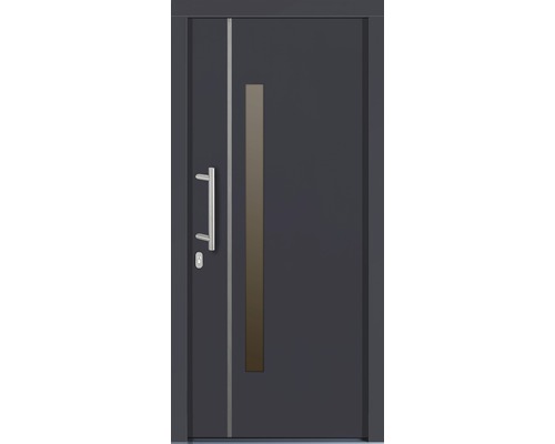 Vchodové dvere s držadlom a sklenenou vložkou