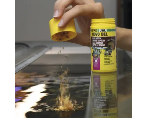 Krmivo pre ryby JBL NovoBel sa sype do akvária