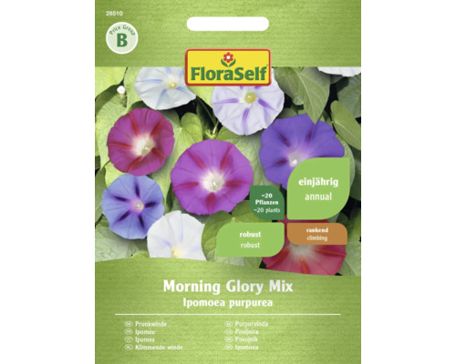 Povojník Morning Glory mix FloraSelf