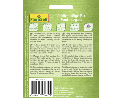 Balenie semien Dahlia-flowered Mix Zinnia elegans