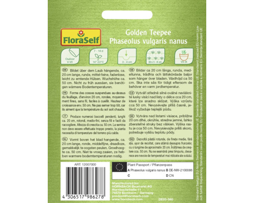 Balenie semien Golden Teepee Phaseolus vulgaris nanus