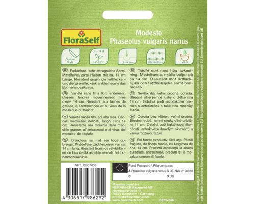 Balenie semien Phaseolus vulgaris nanus Modesto