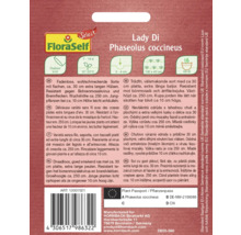 Balenie semien Lady Di Phaseolus coccineus