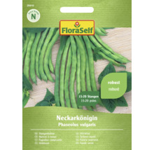 FloraSelf Fazuľa tyčková Neckarkönigin balenie semien