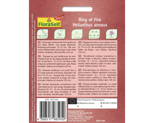 Popis rastliny Slnečnica ročná Ring of Fire