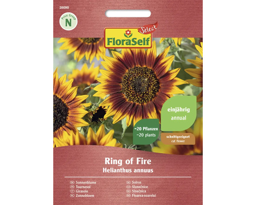 Slnečnica Ring of Fire FloraSelf Select