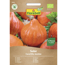 FloraSelf Tekvica Solor Semienka
