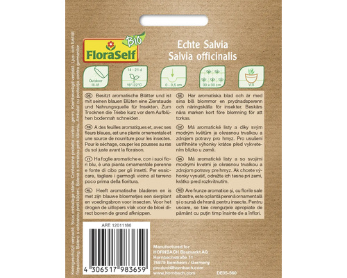 Echte Salvia Salvia officinalis informácie o rastline