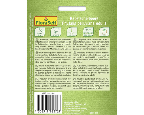 Balenie semien machovky peruánskej Physalis peruviana edulis