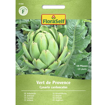 FloraSelf Artyčok Vert de Provence balenie semien