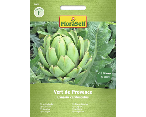 Artyčoka Vert de Provence FloraSelf