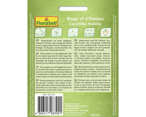 Balenie semien tekvice obrovskej Rouge vif d''Etampes