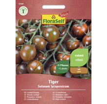 Paradajka koktejlová Tiger FloraSelf Select F1 hybrid
