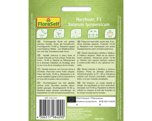 Balenie semien paradajok Harzfeuer F1 Solanum lycopersicum
