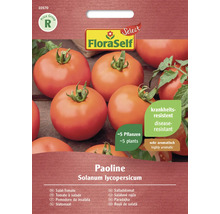Paradajka Paoline FloraSelf Select F1 hybrid