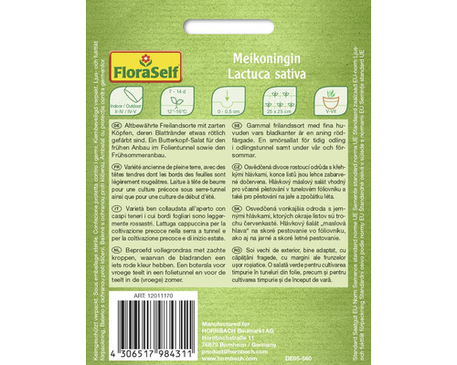 Balenie semien hlávkového šalátu Meikoningin