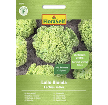 Semená šalátu listového FloraSelf Lollo Bionda pre približne 75 rastlín