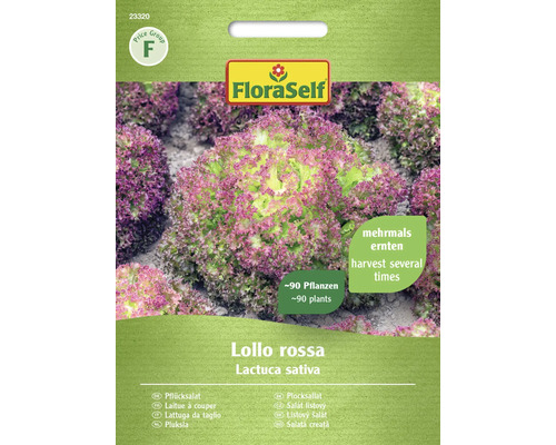Šalát listový Lollo Rossa FloraSelf