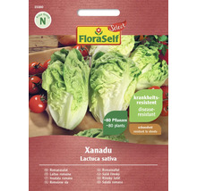 Semená rímskeho šalátu FloraSelf Xanadu pre približne 80 rastlín