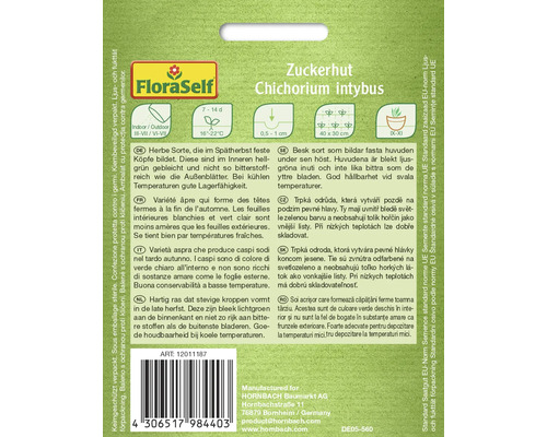 Balíček semien čakanky šalátovej Chichorium intybus
