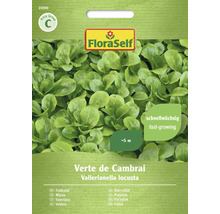 Balíček semien FloraSelf šalát polníček Verte de Cambrai