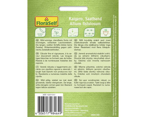Pás semien Kaigaro Allium fistulosum na vonkajšie pestovanie