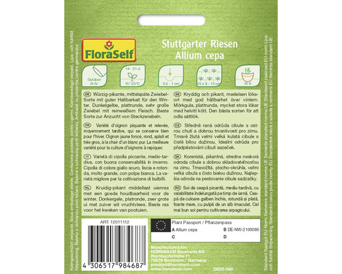 Balenie semien cibule Stuttgarter Riesen Allium cepa