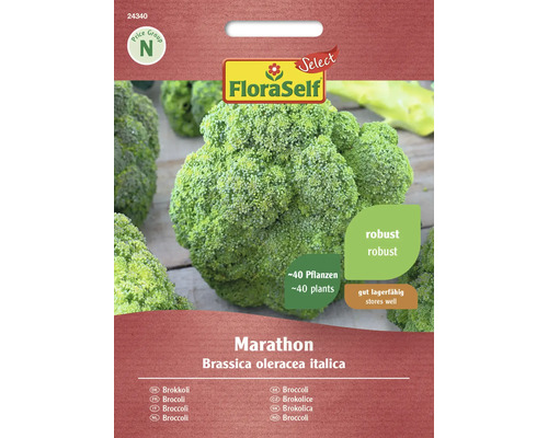 Brokolica Marathon FloraSelf Select F1 hybrid